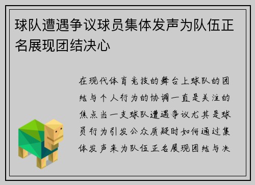 球队遭遇争议球员集体发声为队伍正名展现团结决心